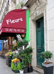 paris_rental_apartment