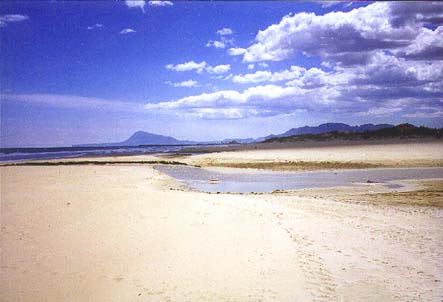 Oliva beach