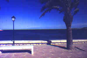 Javea