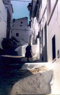 Sixteenth century houses